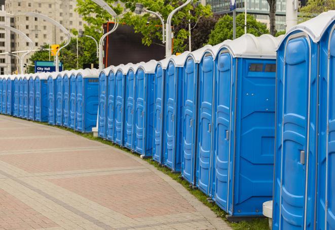 a line of brightly-colored portable restrooms, perfect for outdoor festivals and concerts in Albemarle